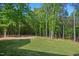 Expansive backyard featuring lush green grass and a serene wooded backdrop, offering privacy at 165 Alpine Rd, Moncure, NC 27559