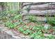Garden with stone retaining wall and greenery at 4 The Gln, Chapel Hill, NC 27514