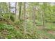 View of tiered backyard with mature trees and greenery at 4 The Gln, Chapel Hill, NC 27514