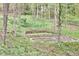 Backyard features a tiered outdoor space with stone accents at 4 The Gln, Chapel Hill, NC 27514