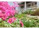 Exterior view with lush peonies in the front garden at 4 The Gln, Chapel Hill, NC 27514