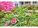 Exterior garden featuring peonies and azaleas with a view of the home at 4 The Gln, Chapel Hill, NC 27514