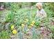 Backyard garden featuring a sculpture of a boy and yellow daffodils at 4 The Gln, Chapel Hill, NC 27514