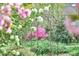 Lush backyard gardens with mature plantings at 4 The Gln, Chapel Hill, NC 27514