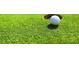 Golf ball on the putting green near the hole at 49 Pumpkin Hill Rdg, Clayton, NC 27520
