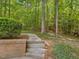 A well-maintained yard with stone walkways, mature trees, and lush greenery at 1428 Gray Bluff Trl, Chapel Hill, NC 27517