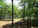 Picturesque backyard view featuring a serene lake framed by tall, mature trees and lush greenery at 1812 Crepe Myrtle Dr, Sanford, NC 27330