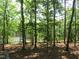 Scenic backyard view showcasing lush greenery and mature trees overlooking a tranquil lake at 1812 Crepe Myrtle Dr, Sanford, NC 27330