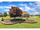 Beautifully landscaped front yard with mature tree and brick accents adds curb appeal at 296 Shoreline Dr, Princeton, NC 27569
