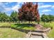 Lush landscaping in backyard with mature trees and stone path at 296 Shoreline Dr, Princeton, NC 27569