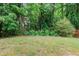 The backyard features a lush, overgrown perimeter full of mature trees and shrubs at 3223 Polite Ln, Raleigh, NC 27610