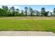 Large grassy backyard, treeline in distance at 482 Olivia Crossing Ct, Four Oaks, NC 27524