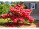 Beautiful flowering bush in the landscaped yard at 106 Chariot Dr, Sanford, NC 27330