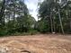 New construction backyard with a wooded lot and plenty of green space and privacy at 194 Landon Ridge, Sanford, NC 27330
