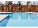 Beautiful community pool with lounge chairs and privacy screens for residents to enjoy at 2000 Clydner Dr, Apex, NC 27523