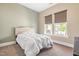 Comfortable bedroom featuring soft carpet, a queen size bed, and large windows at 345 Warm Wind Dr, Clayton, NC 27527