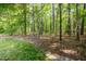 Lush wooded backyard featuring a grass and pine-needle landscape at 10011 Hammock Bnd, Chapel Hill, NC 27517