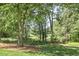 Lush, green backyard with mature trees and landscaping, offering a tranquil outdoor experience at 129 Trellingwood Dr, Morrisville, NC 27560