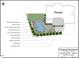 Landscape design illustrating pool and patio with detailed plant buffer and turf areas at 129 Trellingwood Dr, Morrisville, NC 27560