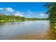 Scenic lake view showcasing clear water reflecting a bright blue sky and lush greenery at 1415 Clearwater Dr, Sanford, NC 27330