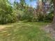 Backyard of home featuring a grassy lawn with mature trees and foliage at 1521 N Duke St, Durham, NC 27701