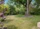 Spacious backyard featuring a mature shade tree and lush green lawn at 1521 N Duke St, Durham, NC 27701