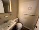 Powder room featuring a sink, toilet, and towel rack at 167 Chic Ennis Rd, Coats, NC 27521