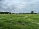 Expansive grassy field; a blank canvas to create your dream home's landscape at 167 Lotus Ave, Smithfield, NC 27577