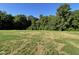 An expansive grassy backyard is bordered by a lush, dense forest on a sunny day at 253 Busterfield Ct, Benson, NC 27504