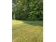 Large grassy backyard surrounded by lush greenery, offering plenty of space at 3609 Cold Harbour Dr, Raleigh, NC 27610