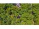 Aerial view of a secluded home nestled in the heart of a dense forest, providing privacy and serenity at 3622 Moonlight Dr, Chapel Hill, NC 27516