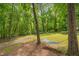 Relaxing backyard featuring a hammock strung between trees in a lush, green setting at 3622 Moonlight Dr, Chapel Hill, NC 27516
