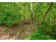 Secluded garden path leads to a tranquil bench surrounded by lush greenery and mature trees at 3622 Moonlight Dr, Chapel Hill, NC 27516