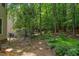 Spacious backyard featuring lush greenery and a unique geometric play structure at 401 Robert Hunt Dr, Carrboro, NC 27510