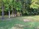 Large backyard with mature trees at 550 Saplin Branch Rd, Timberlake, NC 27583