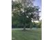 Large tree in a vast front yard at 550 Saplin Branch Rd, Timberlake, NC 27583