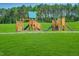 Well-maintained community playground equipment, slides, and climbing features at 909 Crossbill Dr, Knightdale, NC 27545
