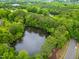 Breathtaking aerial view of the community lake surrounded by green trees, providing a tranquil escape at 9805 Precious Stone Dr, Wake Forest, NC 27587