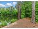 Relaxing view of the community lake surrounded by mature trees, creating a serene and natural setting at 9805 Precious Stone Dr, Wake Forest, NC 27587
