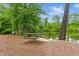 Enjoy a picnic by the lake at this scenic community area with lush green trees and a peaceful atmosphere at 9805 Precious Stone Dr, Wake Forest, NC 27587