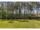 Expansive green backyard with a row of tall pine trees for privacy at 1009 Middleground Cir, Durham, NC 27713