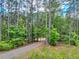 Scenic gravel driveway winding through a lush green forest, offering privacy and a peaceful entry to the property at 2092 Winwood Farm Rd, Creedmoor, NC 27522