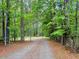 Gravel driveway surrounded by trees, creating a serene and private entrance, showcasing the natural beauty of the property at 2092 Winwood Farm Rd, Creedmoor, NC 27522