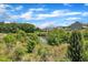 Picturesque pond surrounded by lush greenery, offering a serene and natural setting at 2100 Curry Meadow Way, Durham, NC 27703