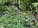 Lush garden featuring colorful flowers and diverse greenery, with sprinklers visible at 27425 Walker, Chapel Hill, NC 27517