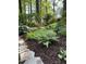 Landscaping features a vibrant array of green plants, mulch, and decorative rock borders at 27425 Walker, Chapel Hill, NC 27517
