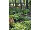 Lush landscaping with a mix of plants, mulch, and mature trees at 27425 Walker, Chapel Hill, NC 27517