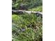 Landscaping features a lush variety of plants with a stone border at 27425 Walker, Chapel Hill, NC 27517