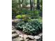 Lush landscaping with a variety of plants, mulch, and decorative rock borders at 27425 Walker, Chapel Hill, NC 27517
