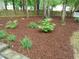 Wood mulch and mature trees in landscaped backyard at 3300 Neuse Crossing Dr, Raleigh, NC 27616